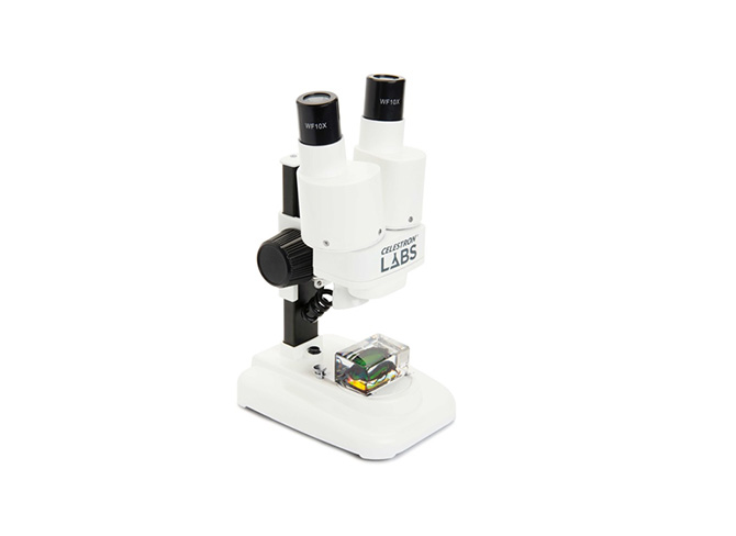 Microscopio Labs S20 Estéreo