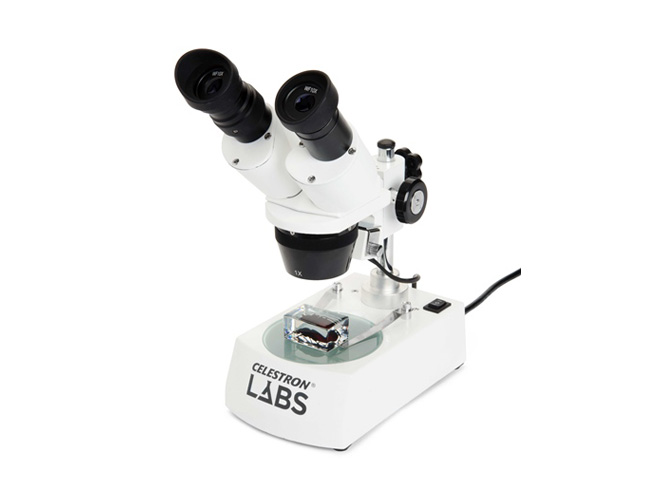 Microscopio Labs S10-60  Estéreo